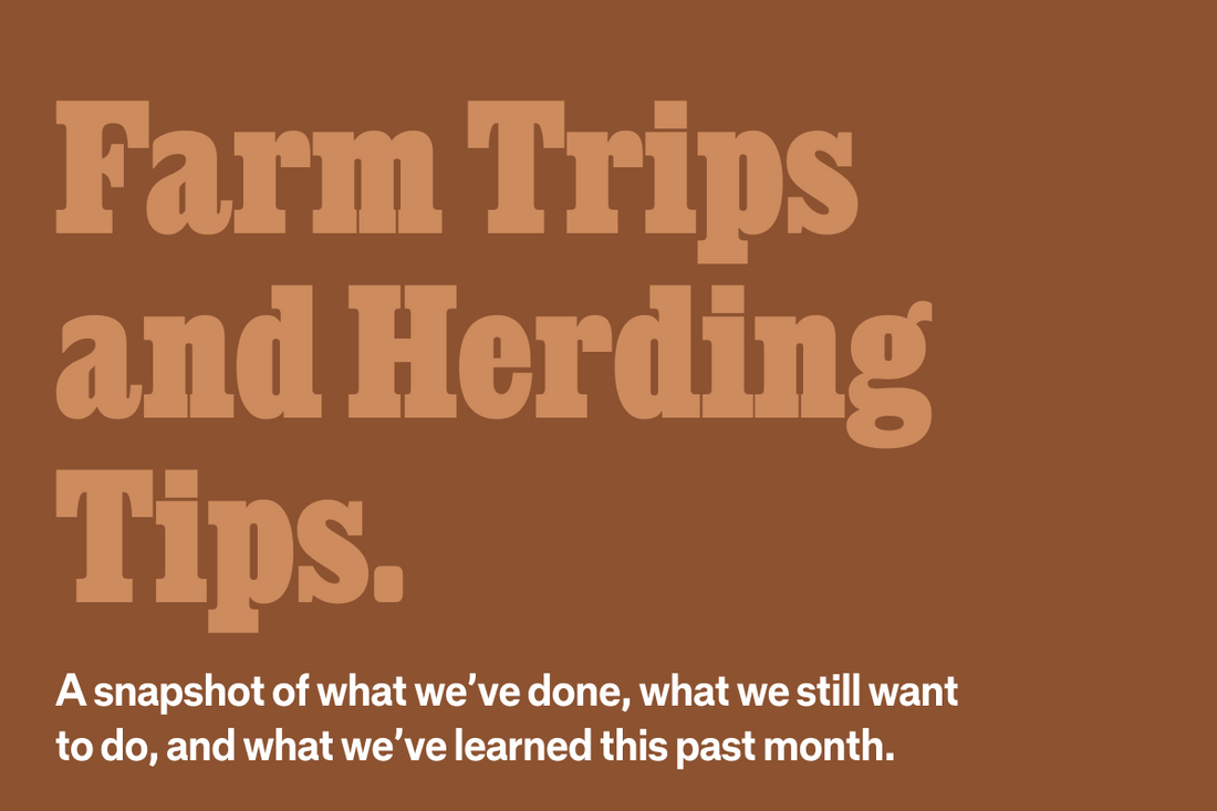 A Snapshot of Our Month