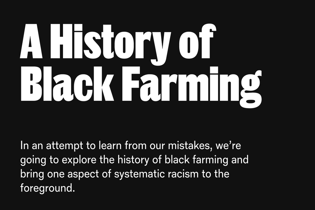 A History of Black Farming
